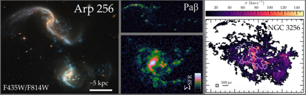 Screenshot 2025 11 21 at 3.13.49%e2%80%afpm